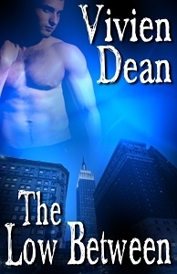 The Low Between book cover