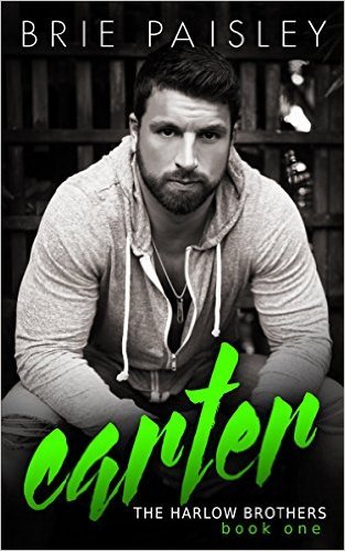 The Harlow Brothers book cover 1