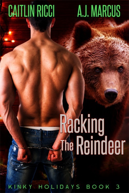 Kinky Holidays book cover 3