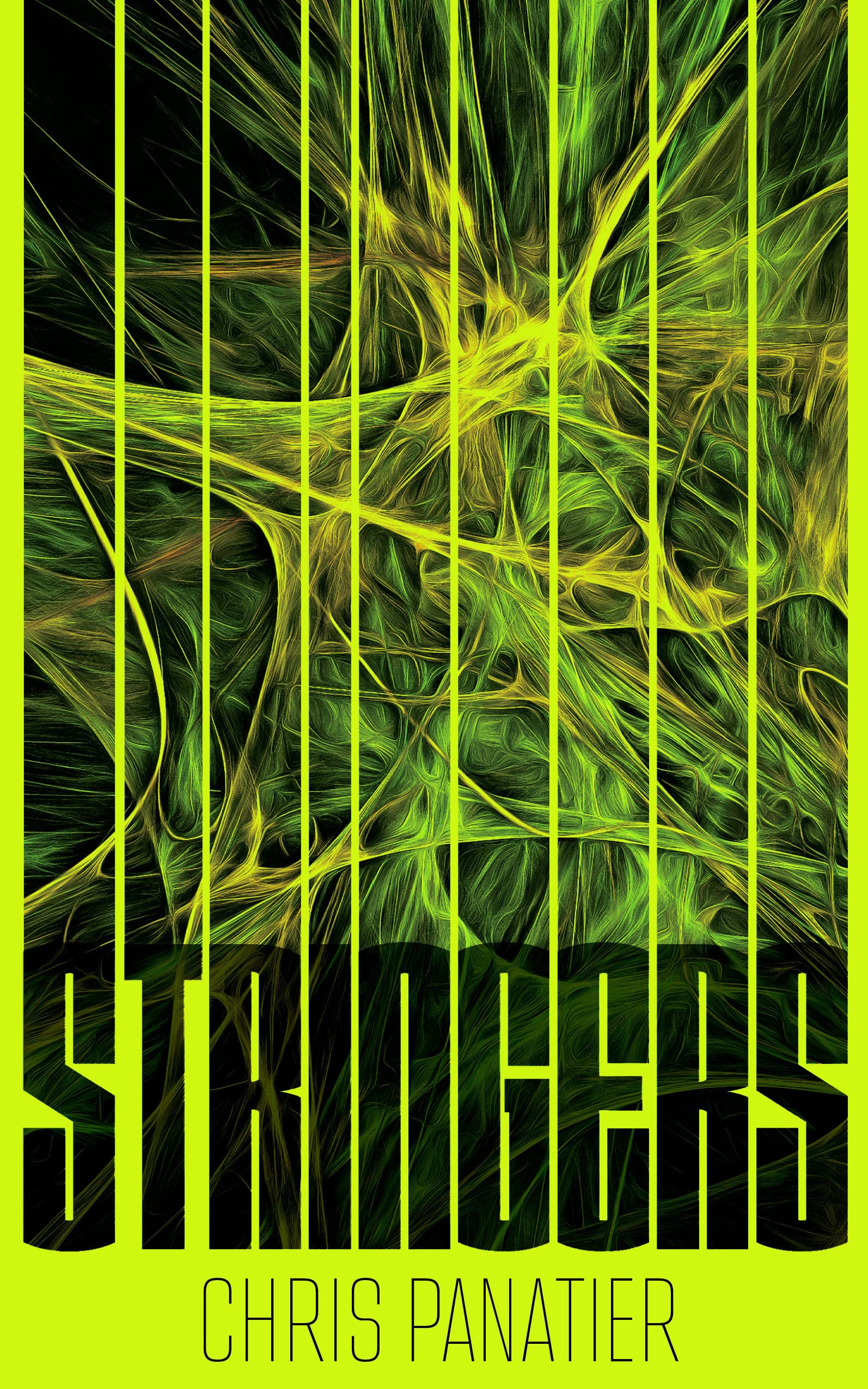 Stringers book cover