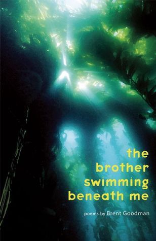 The Brother Swimming Beneath Me book cover