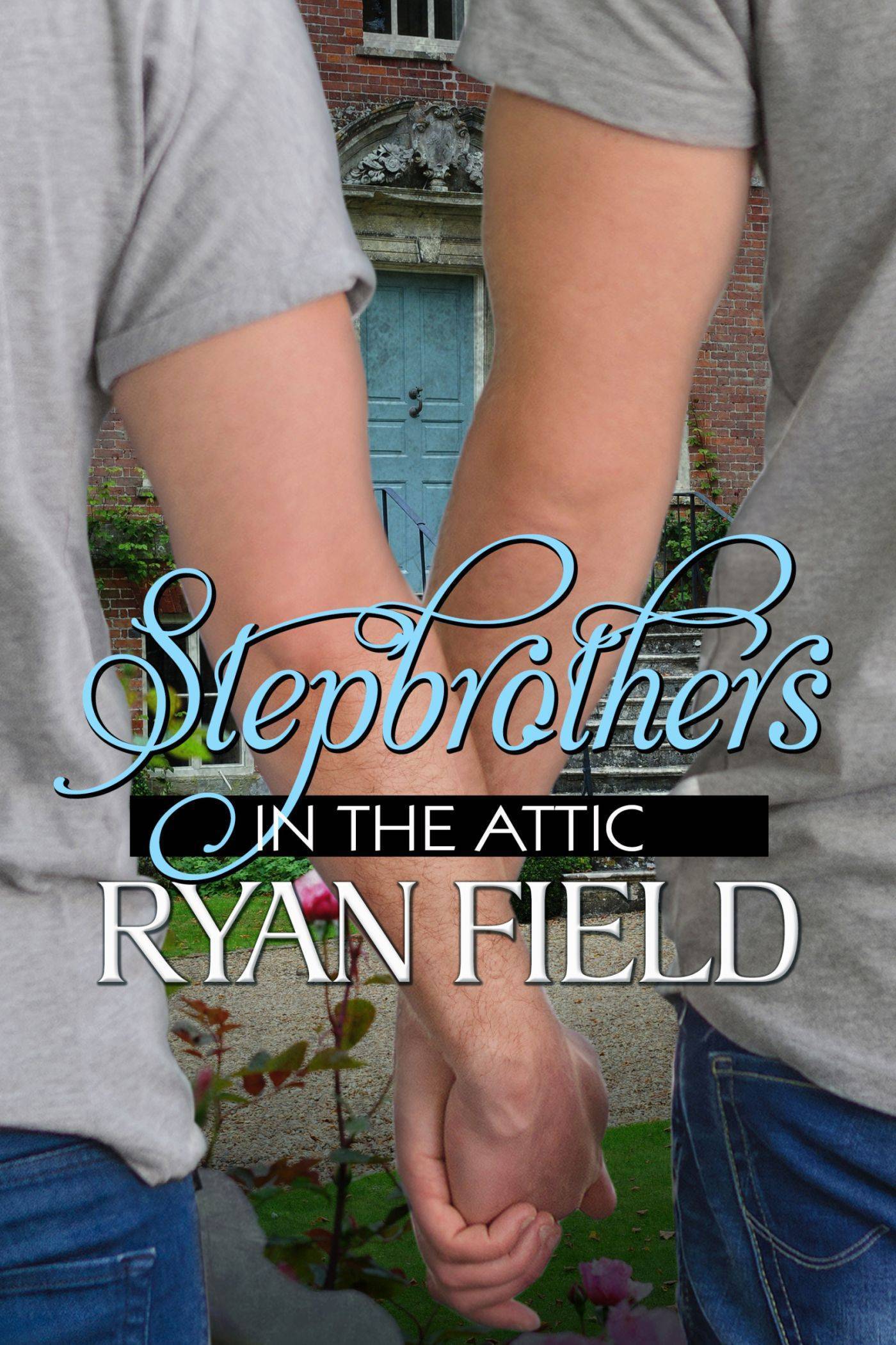Stepbrothers in the Attic book cover
