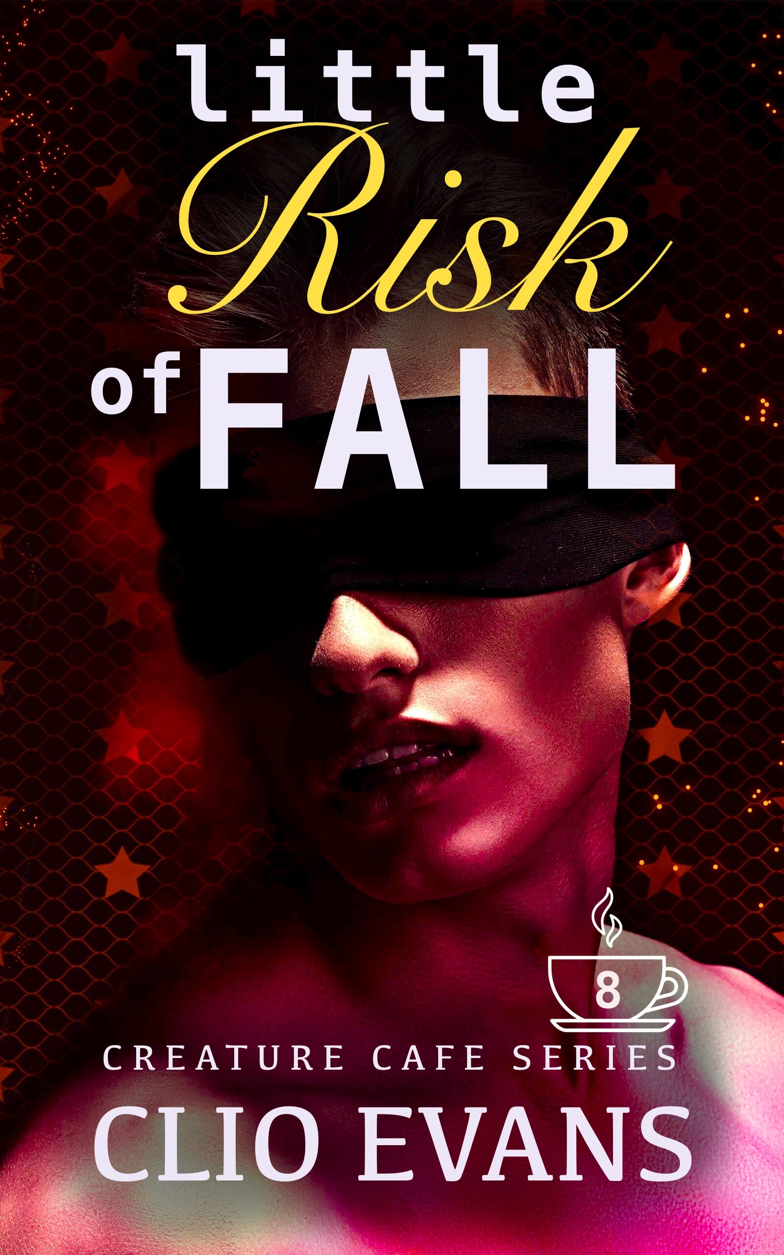 Little Risk of Fall book cover
