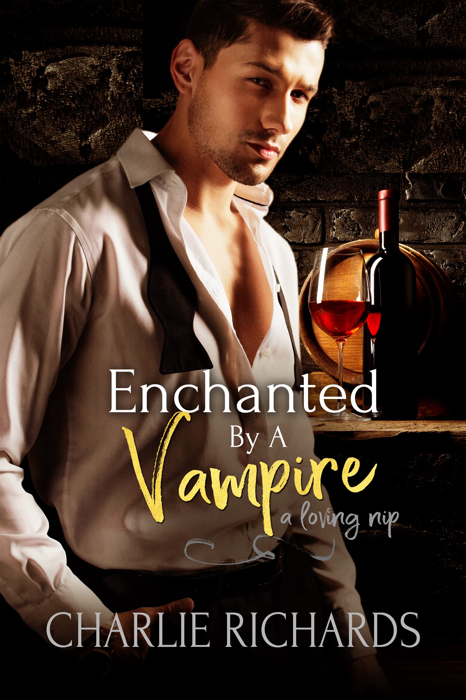 Enchanted by a Vampire book cover