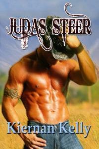 Judas Steer book cover