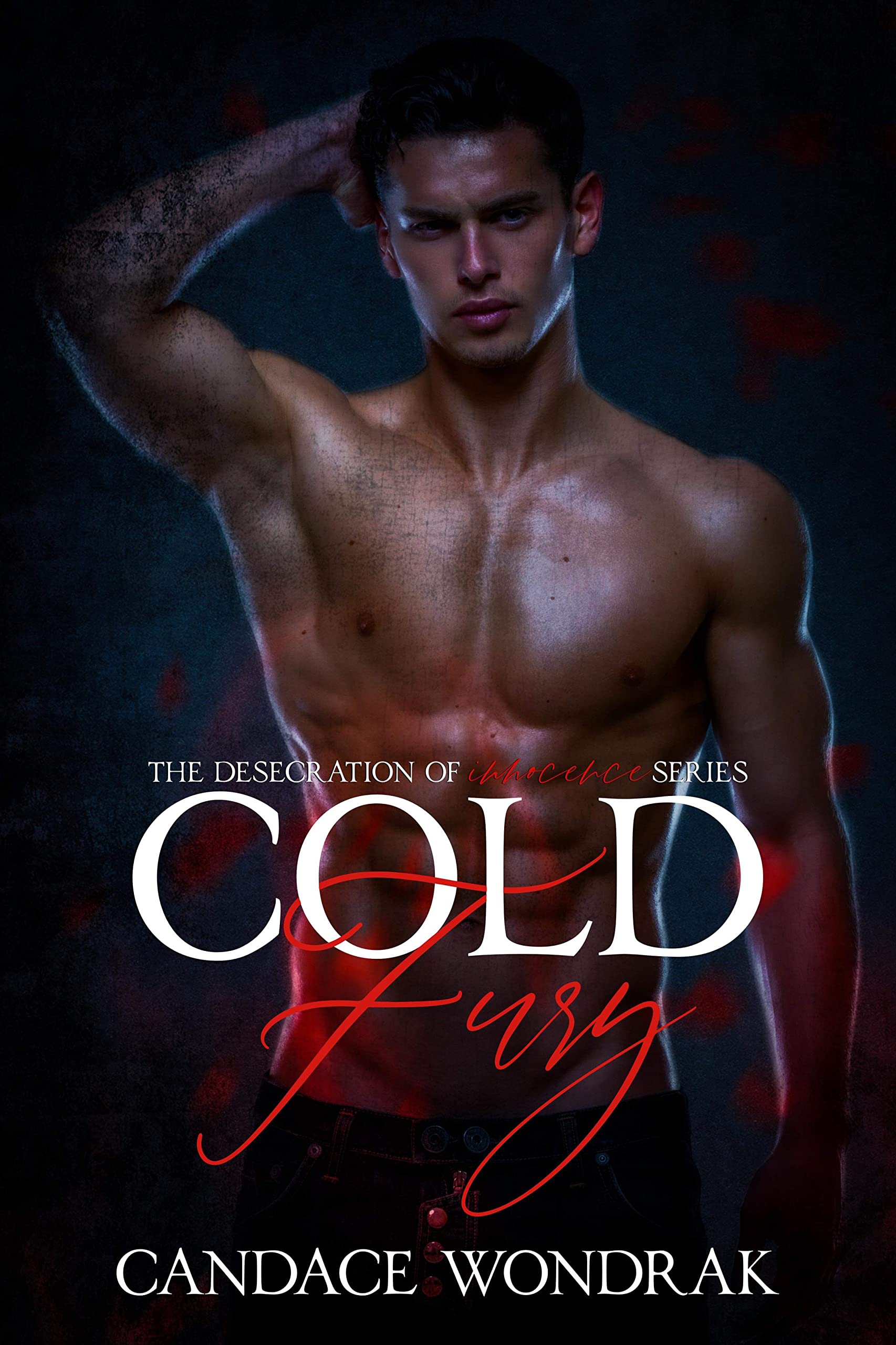 Cold Fury book cover