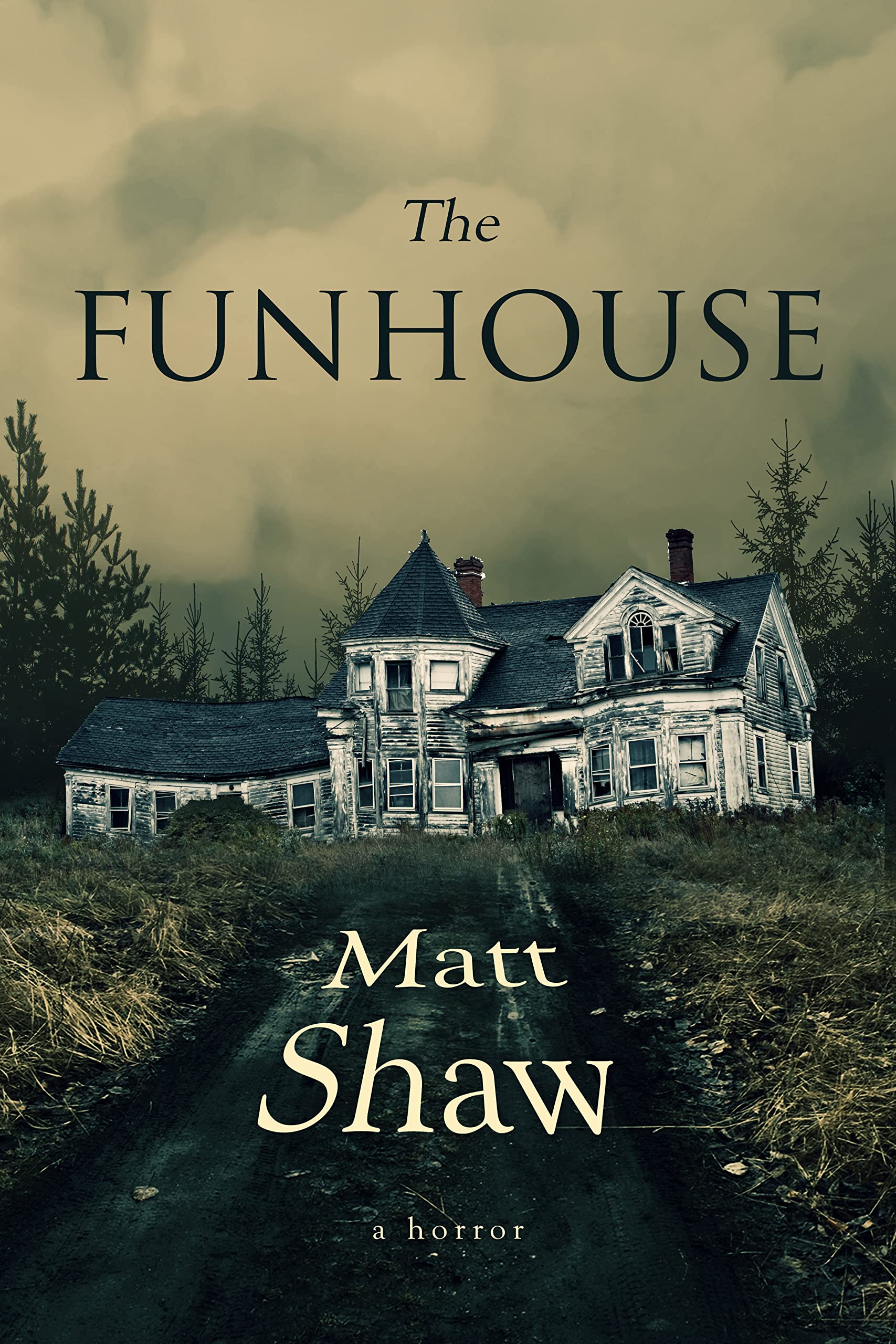 The Funhouse book cover