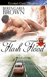 Flash Flood book cover