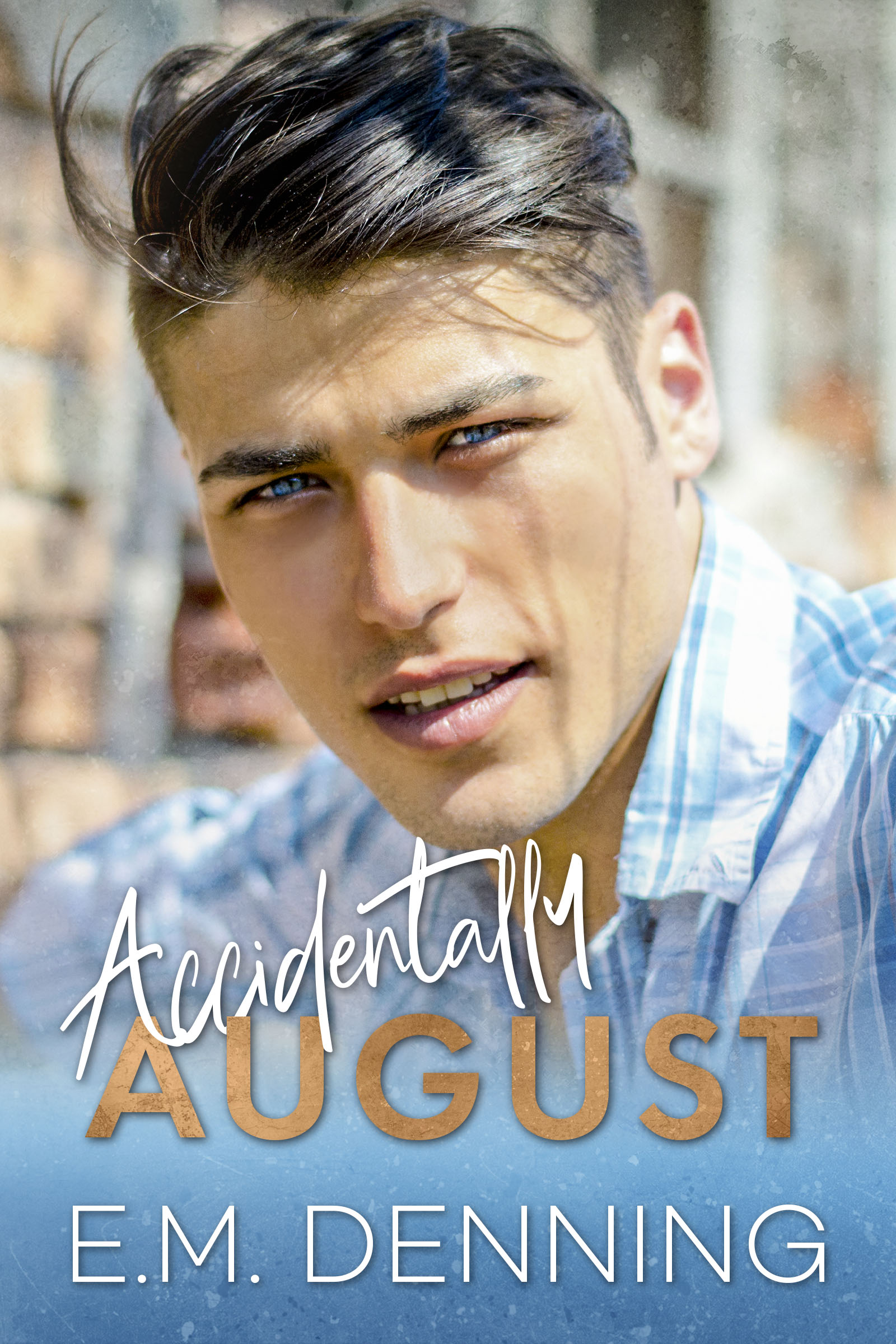 Accidentally August book cover