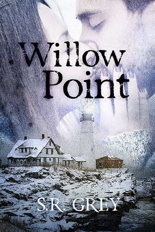 A Harbour Falls Mystery book cover 2