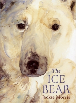 The Ice Bear book cover