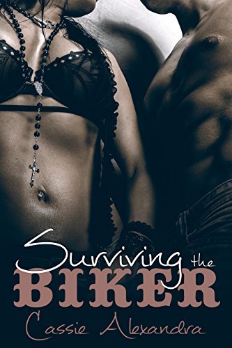 The Biker book cover 2