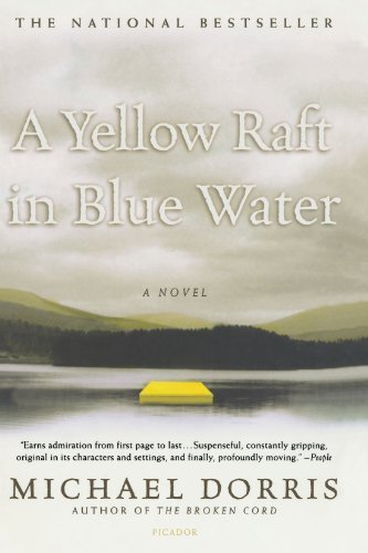 A Yellow Raft in Blue Water book cover