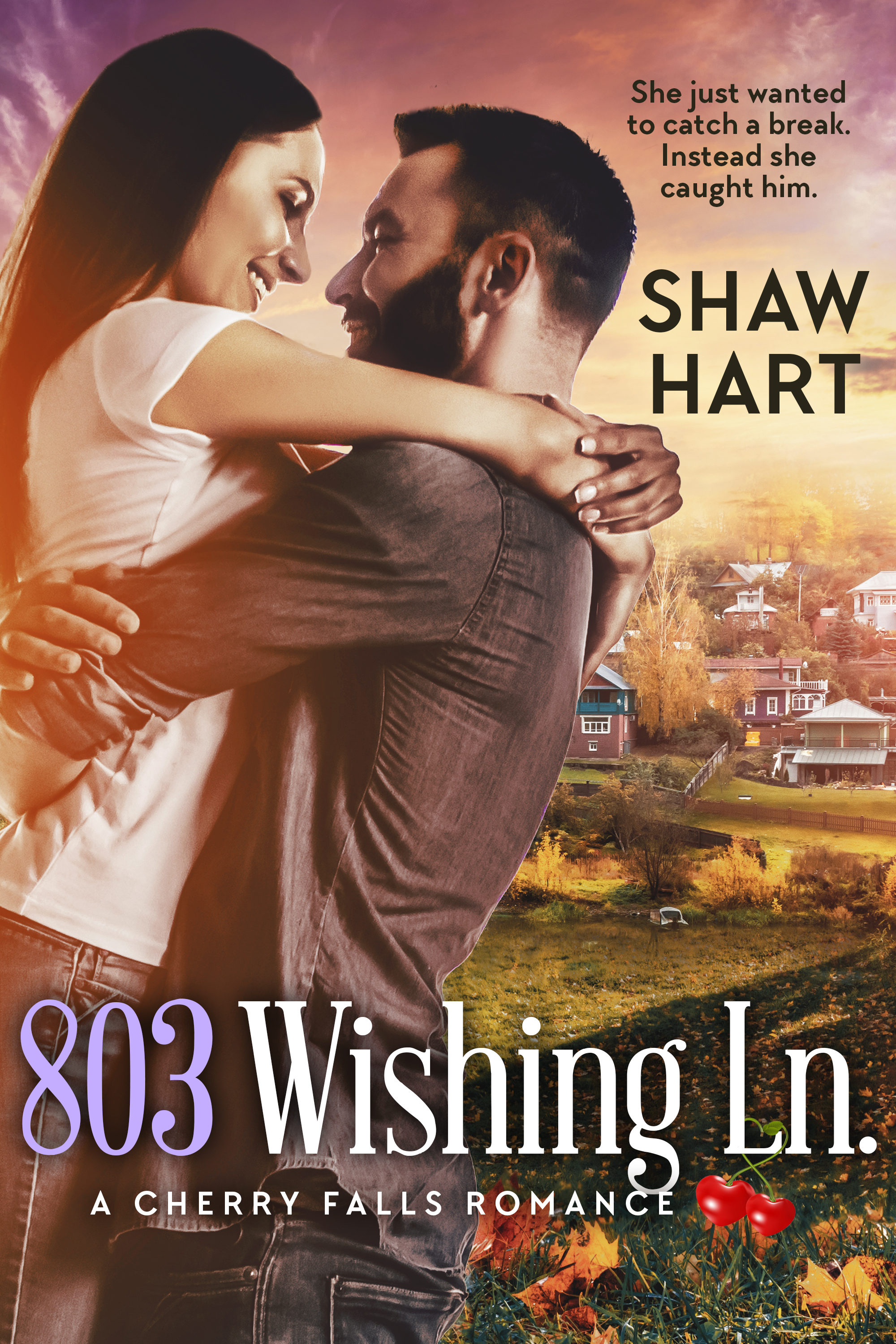803 Wishing Lane book cover
