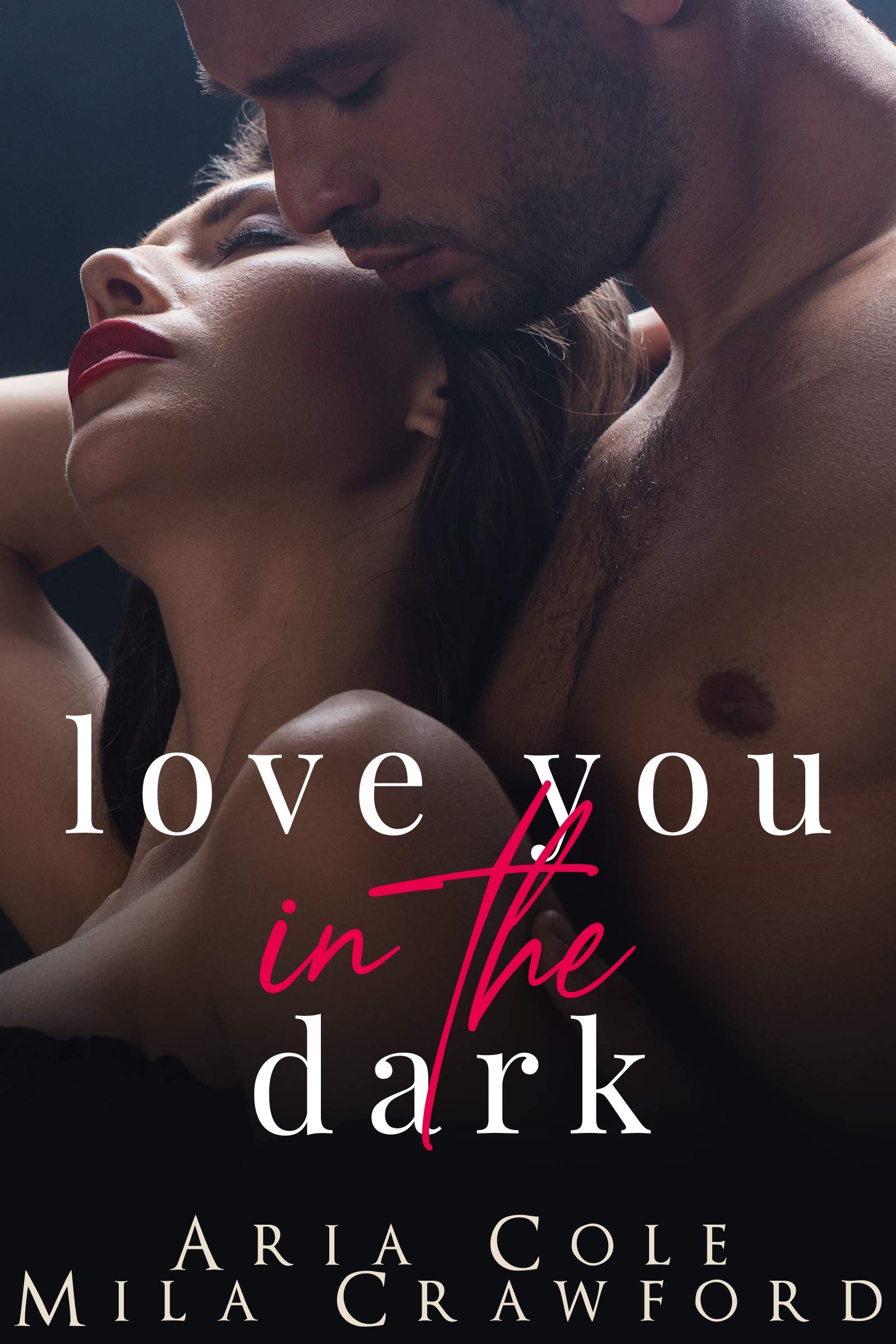 Love You In The Dark book cover