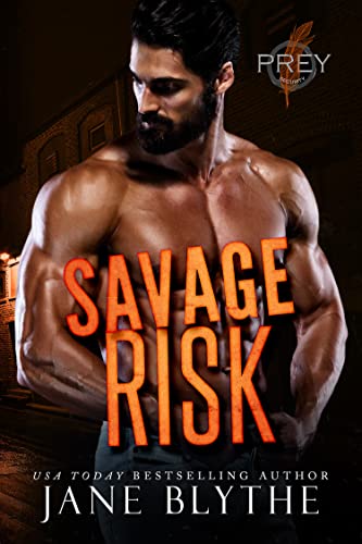 Savage Risk book cover