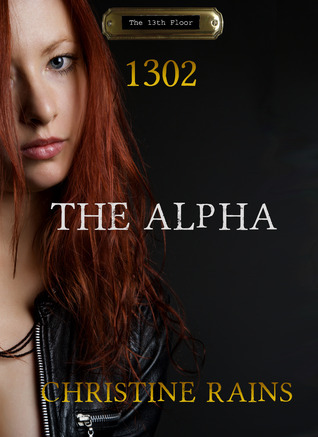 The 13th Floor book cover 2