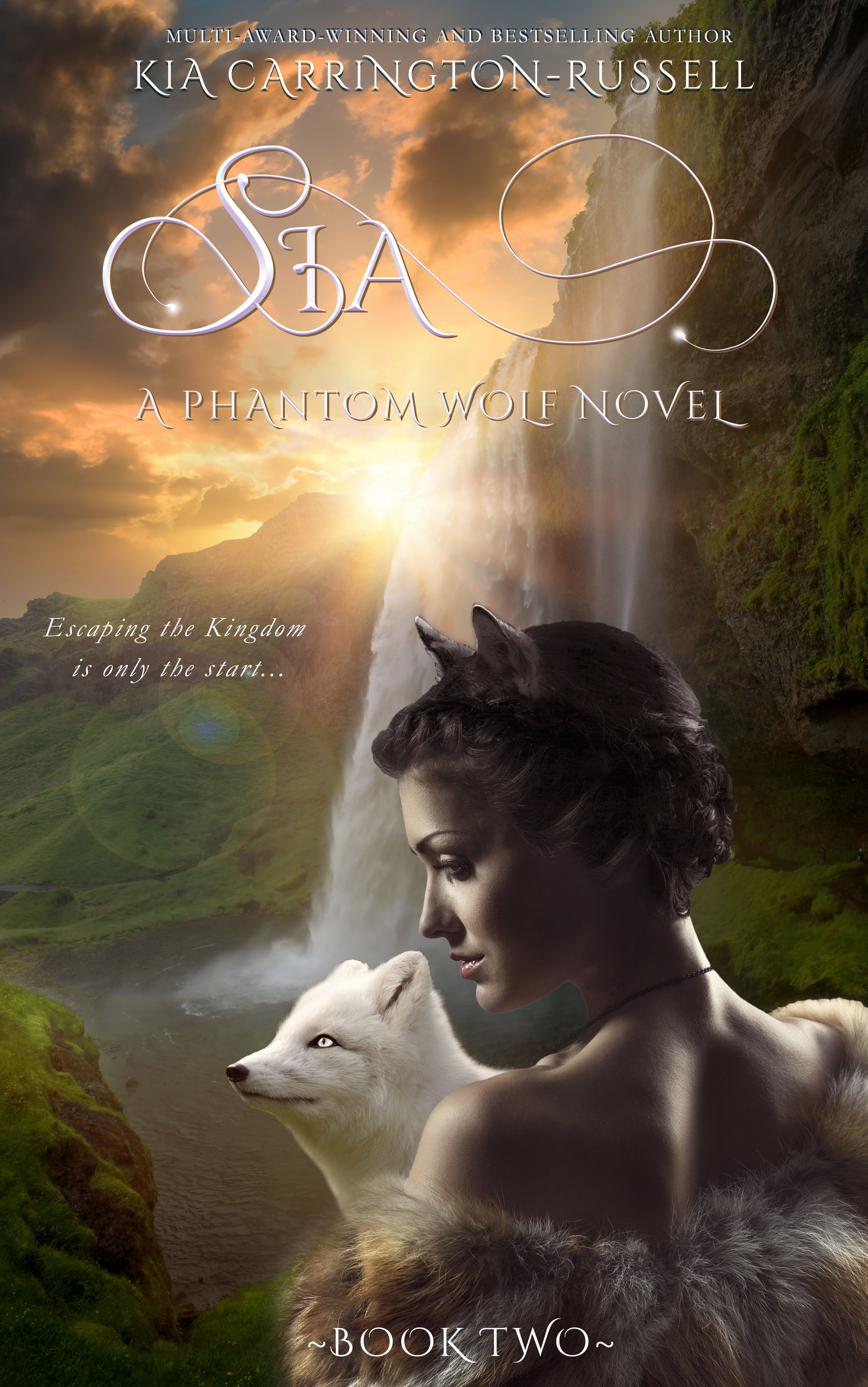 Phantom Wolf book cover 2