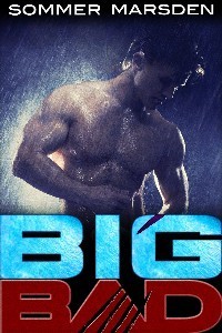 Big Bad book cover 1