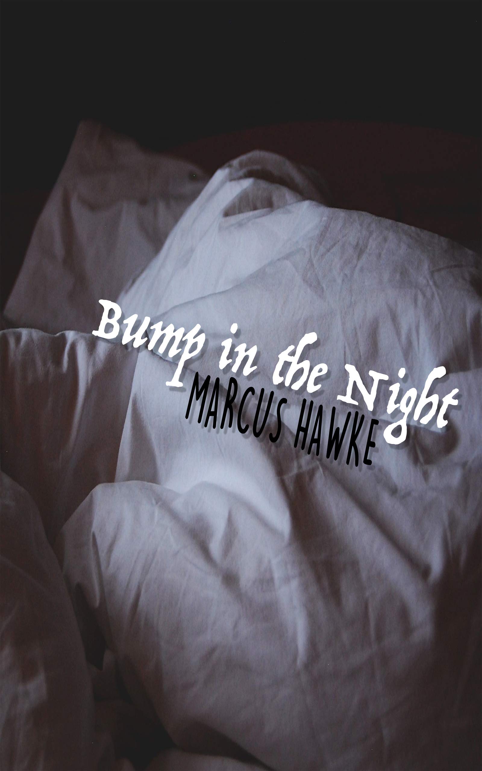 Bump in the Night book cover