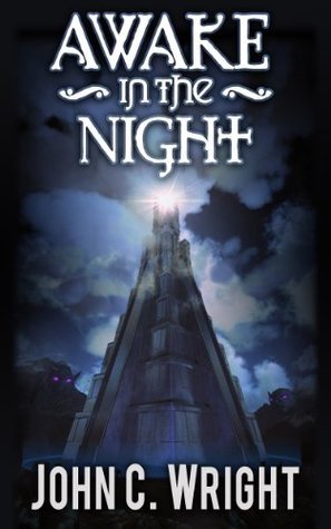 Awake in the Night book cover