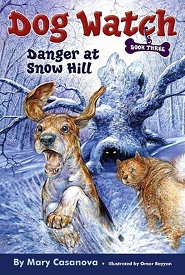 Danger at Snow Hill (3) book cover