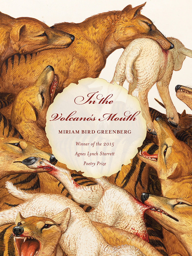 In the Volcano's Mouth book cover