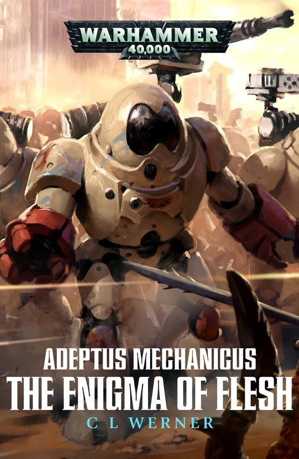 The Enigma of Flesh book cover