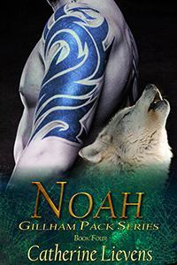 Noah book cover