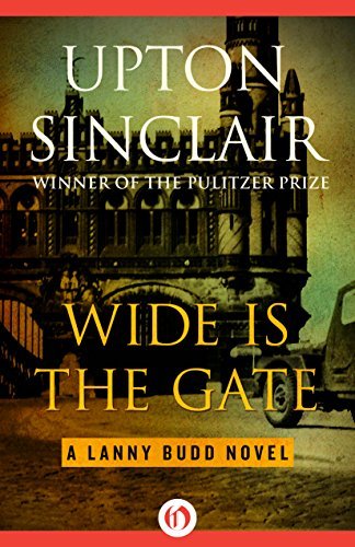 Wide Is the Gate book cover