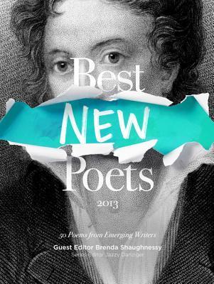 Best New Poets 2013 book cover