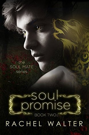 Soul Mate book cover 2