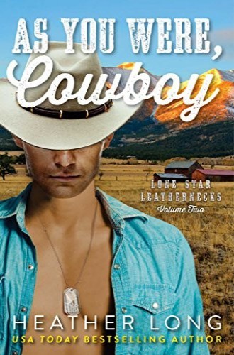 Lone Star Leathernecks book cover 2