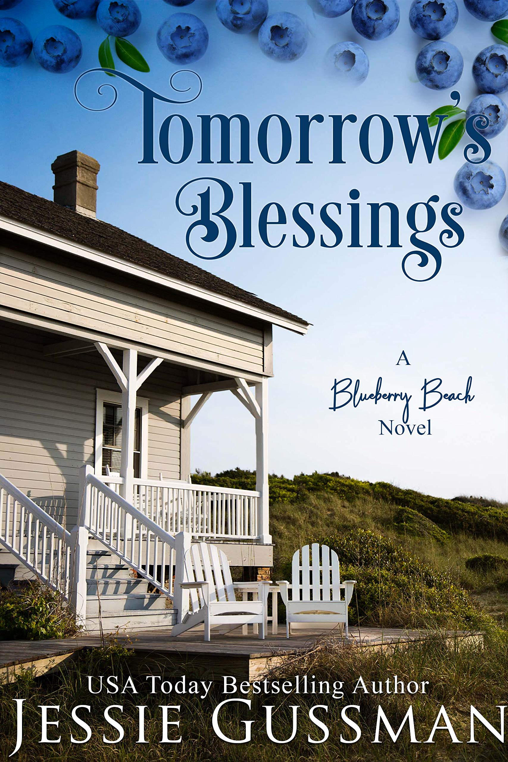 Blueberry Beach book cover 2