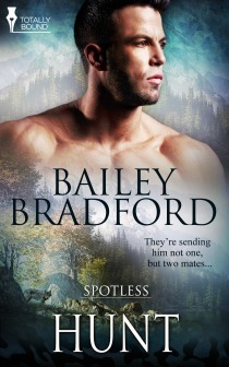 Spotless book cover 2