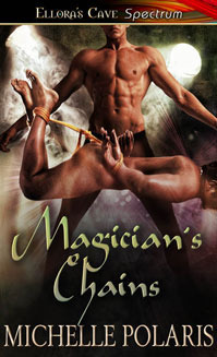 Magician's Chains book cover
