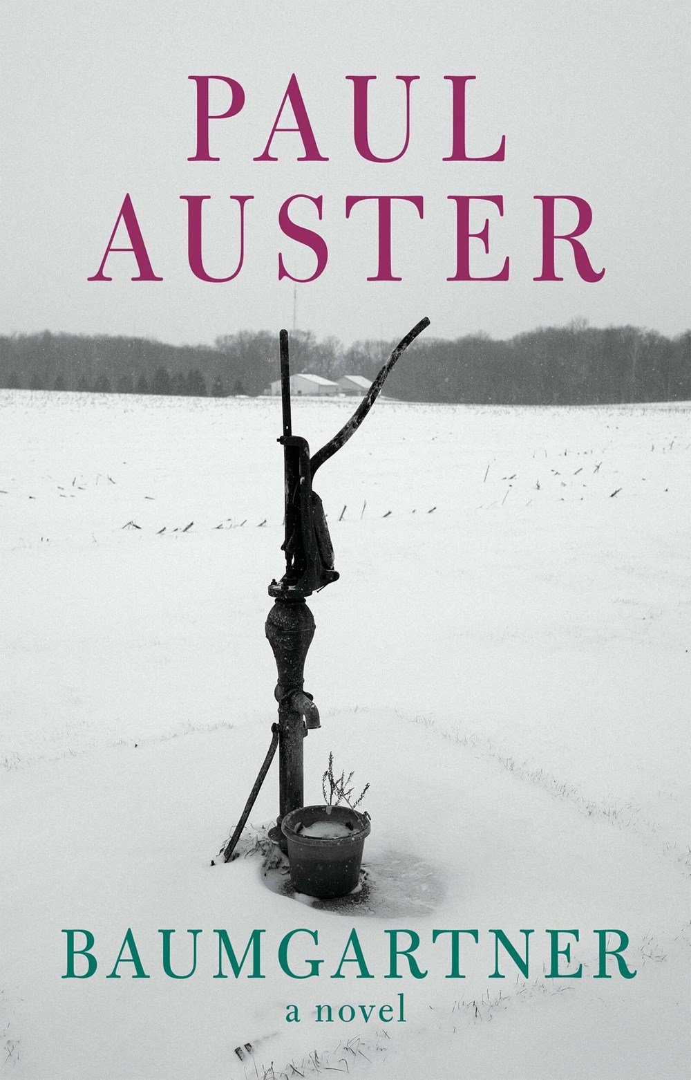 Baumgartner book cover