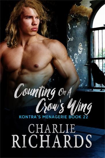 Counting on a Crow's Wing book cover