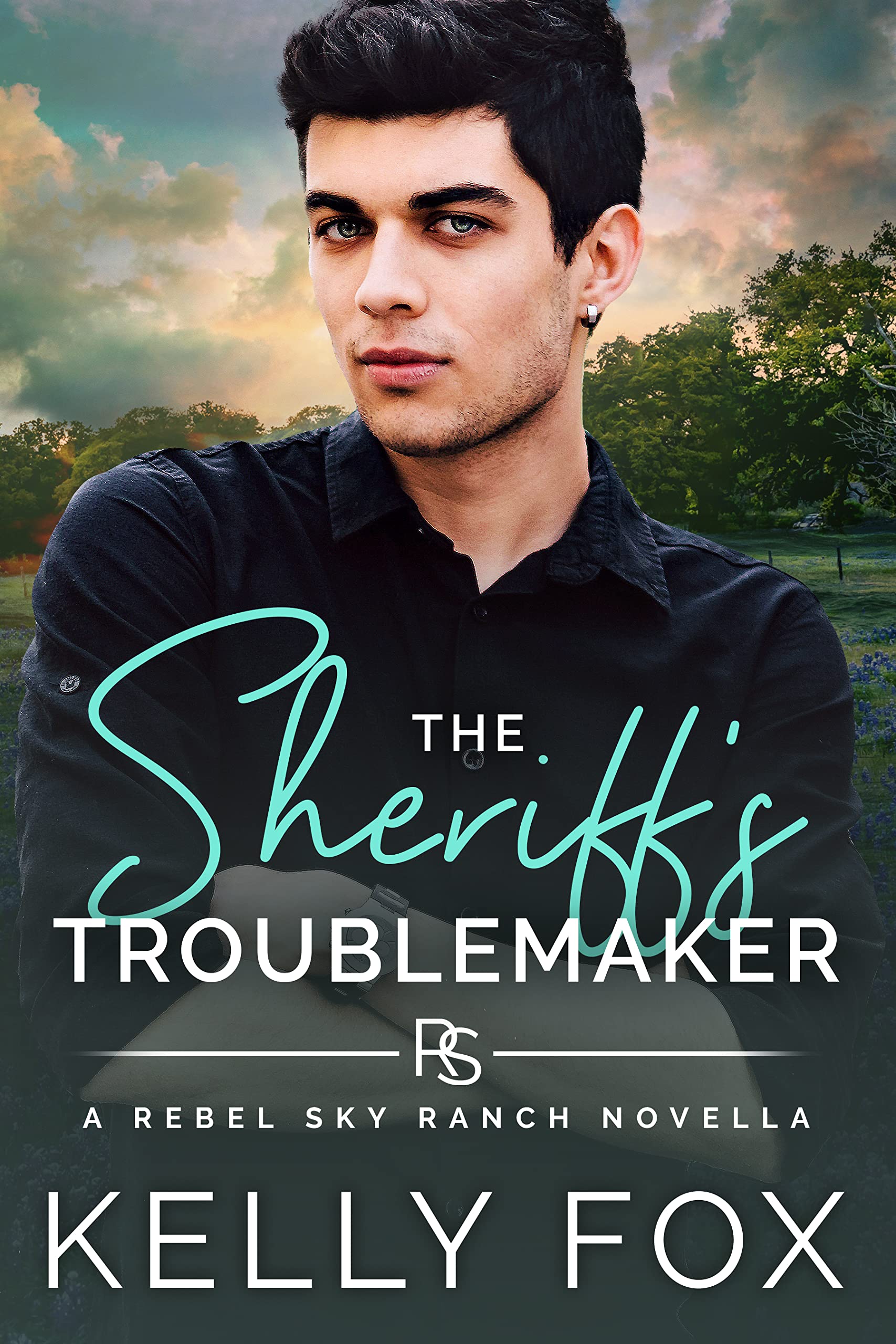 The Sheriff's Troublemaker book cover