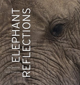 Elephant Reflections book cover