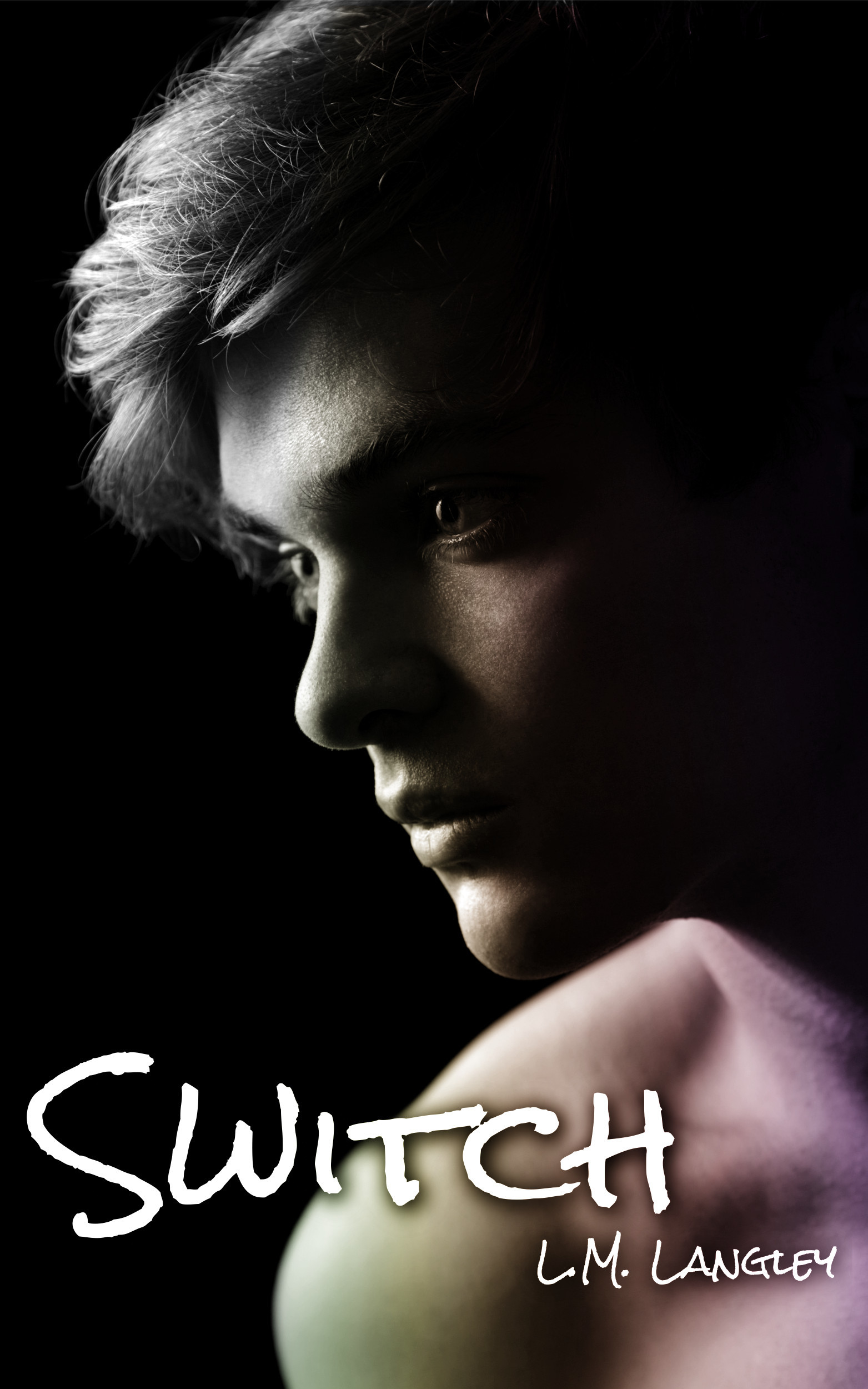 Switch book cover