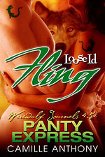 Panty Express book cover