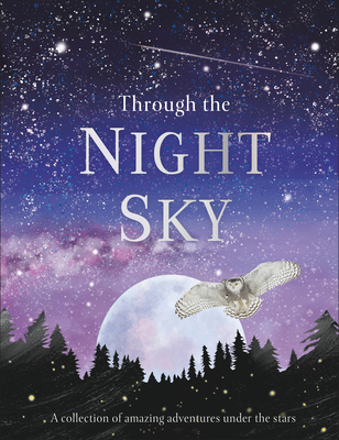 Through the Night Sky book cover