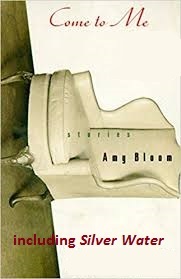 Silver Water book cover