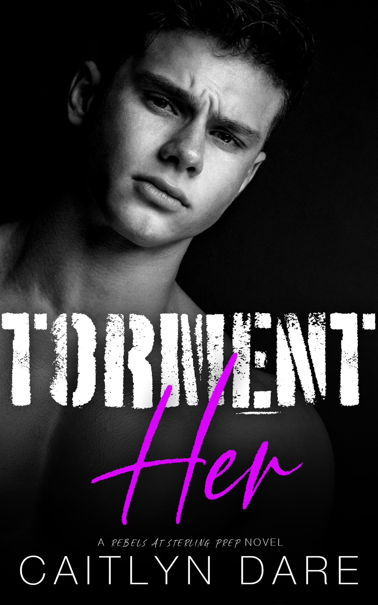 Torment Her book cover