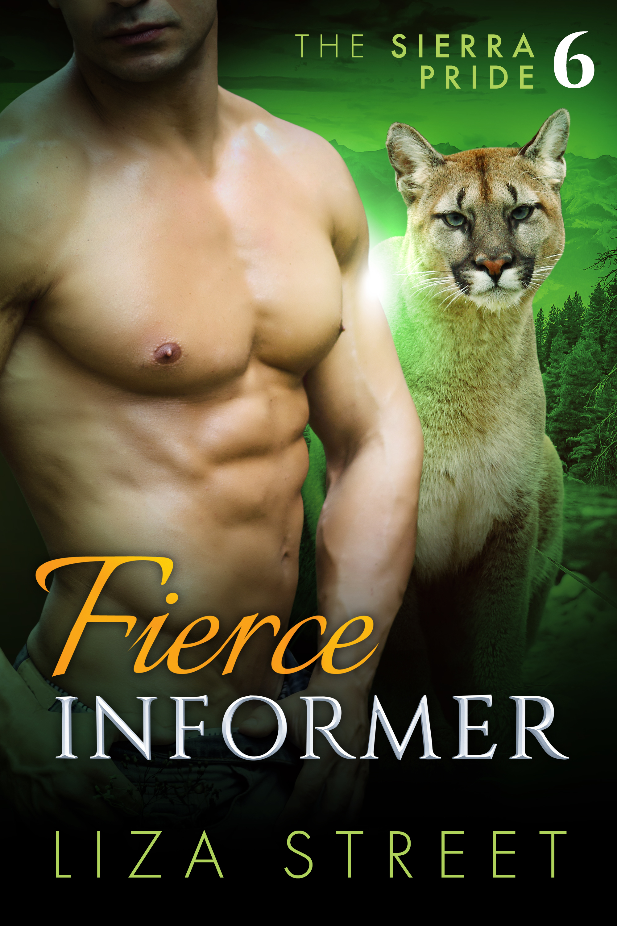 Fierce Informer book cover