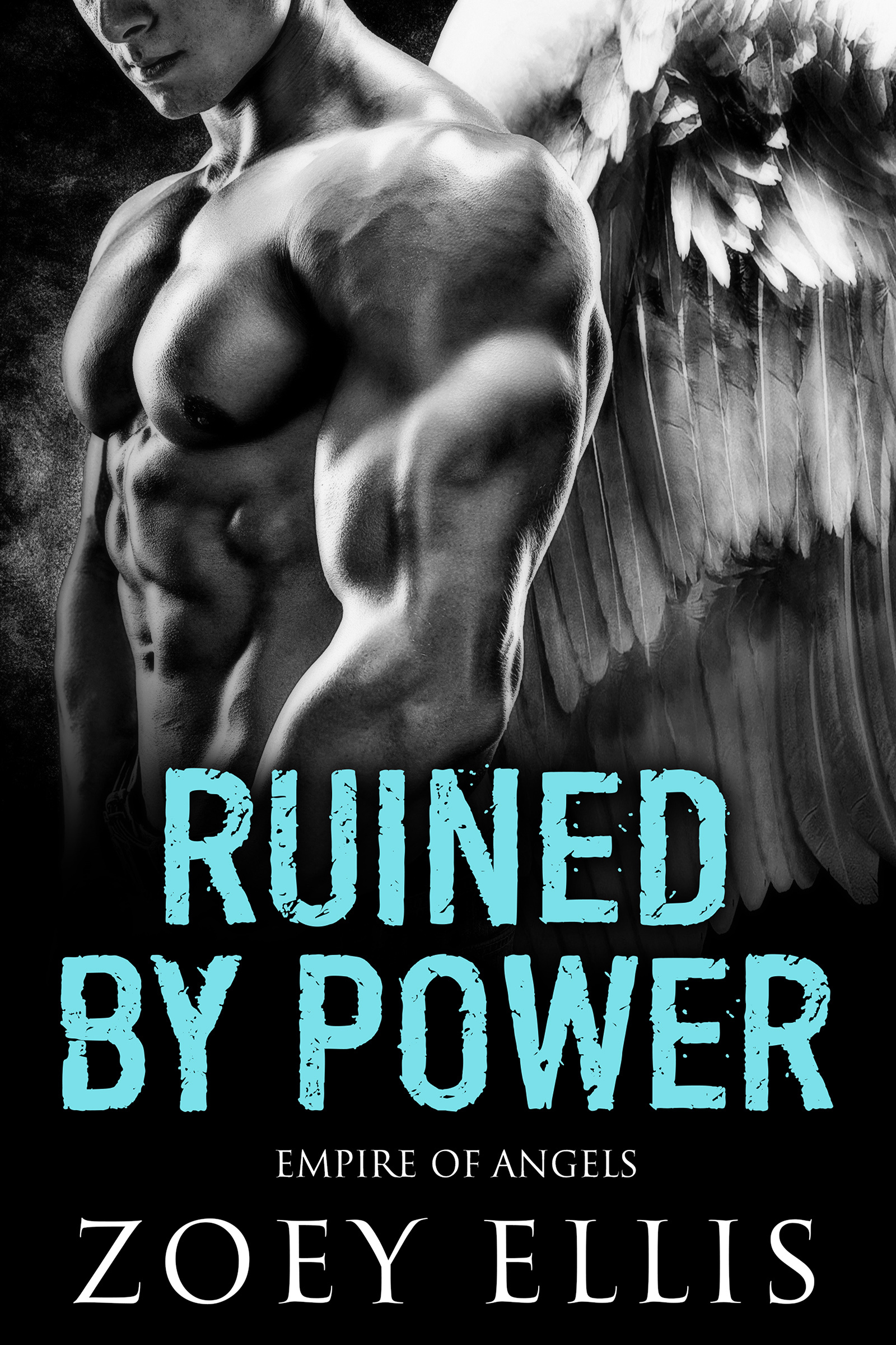Empire of Angels book cover 2