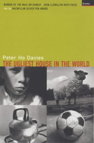 The Ugliest House in the World book cover