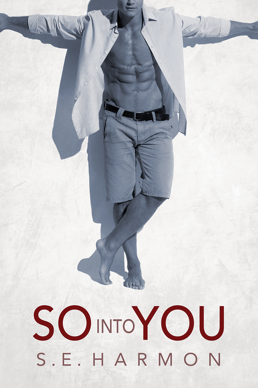 The PI Guys book cover 2