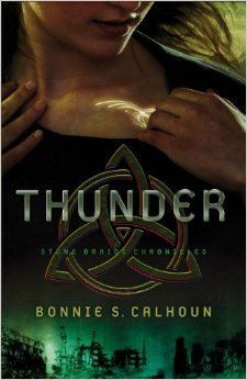 Stone Braide Chronicles book cover 1